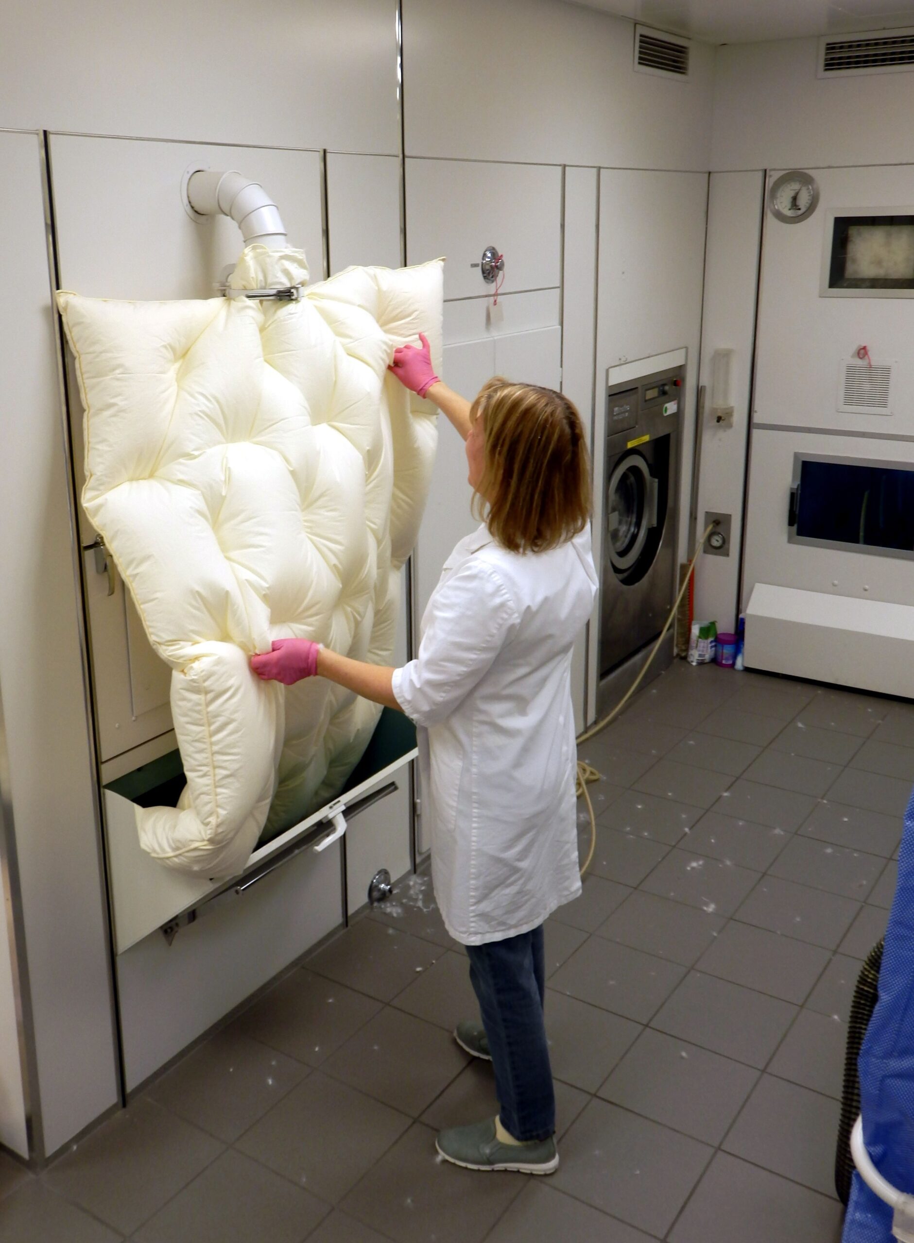 Bettfedernreinigung Offenburg BadenBaden Kehl Daunendecke Daunenkissen reinigen lassen in Bettfedernreinigung