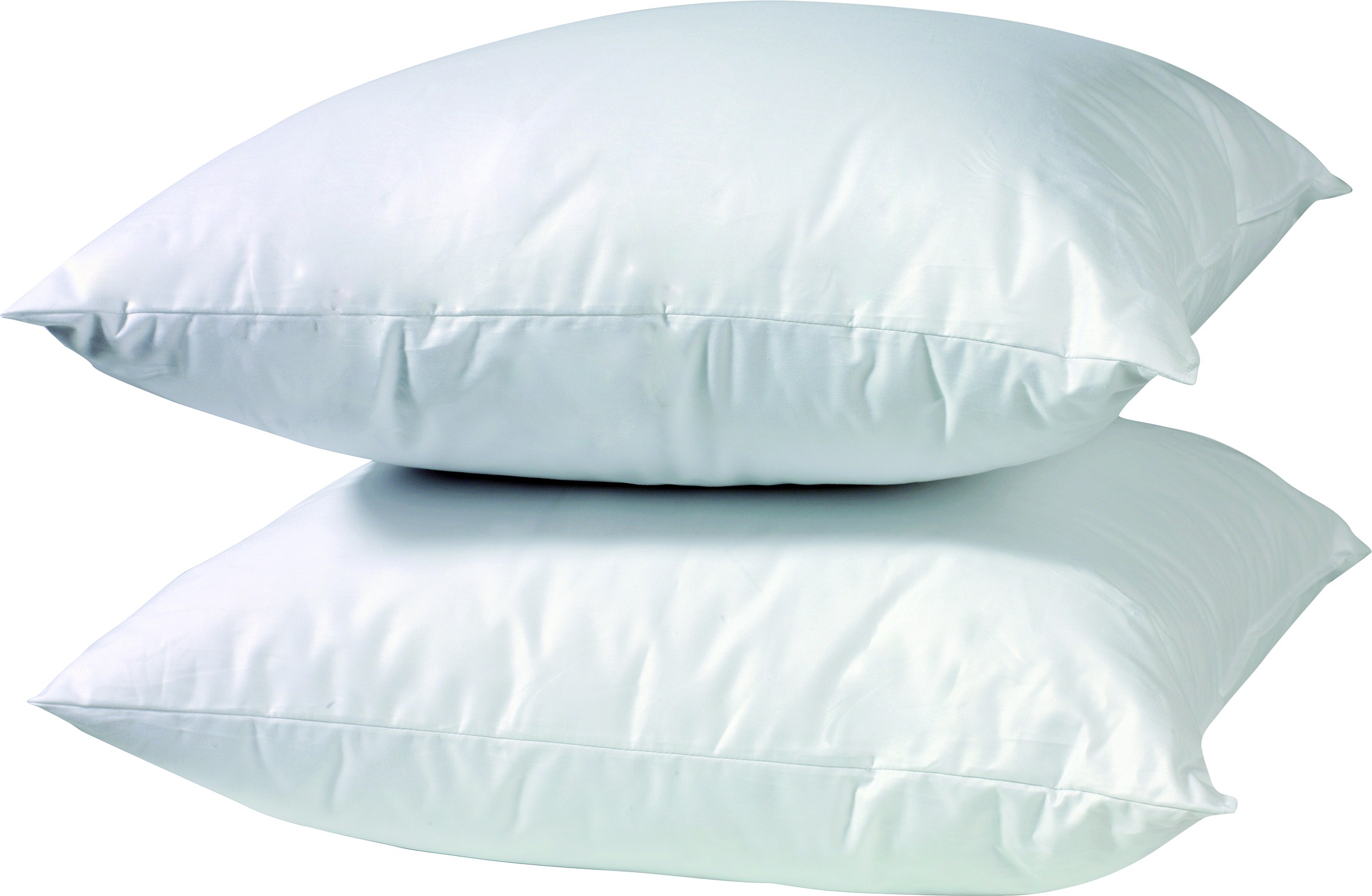 DaunenKissen Daunenkissen und Federkissen