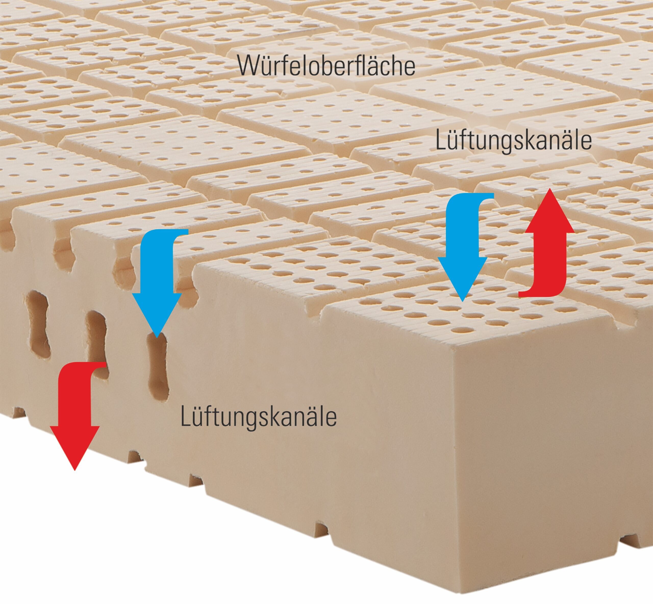 Matratzentyp_Latex_Kernschnitt Betten Leitermann und Betten Rabolt - Offenburg und Baden-Baden