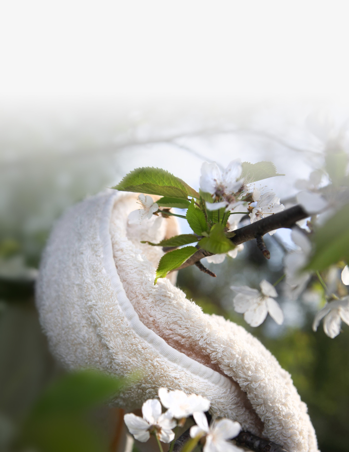 Betten Leitermann und Betten Rabolt - Offenburg und Baden-Baden